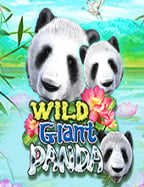 sbobet ฟร เครด ต: สนุกกับเกมสล็อตออนไลน์